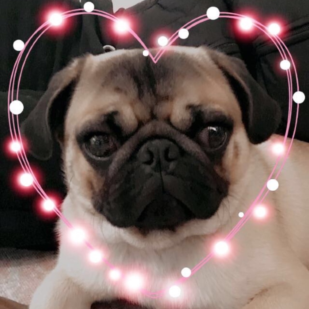 Meet your Posher, Sally